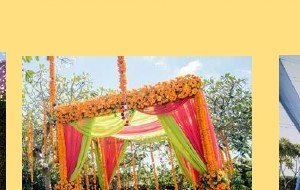 Greenery Wall with Marigold Swags - Game Jockey & Team Building Udaipur