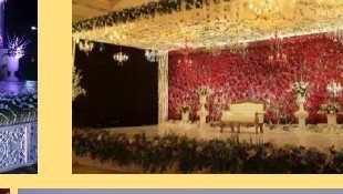 Dense Floral Wall Stage - Game Jockey & Team Building Udaipur